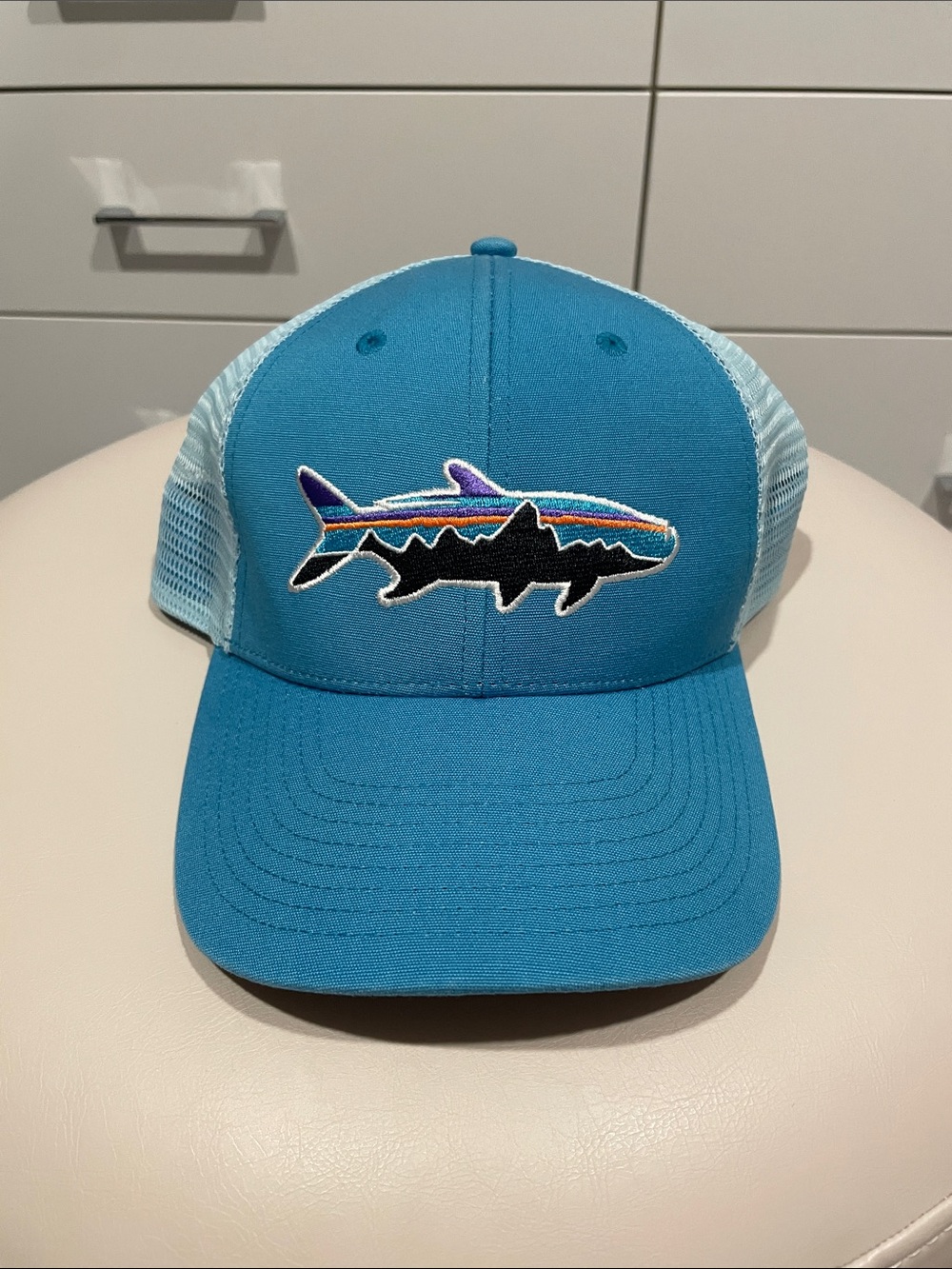 LIKE NEW Patagonia Tarpon Fishing Trucker Hat